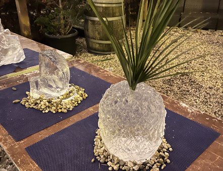 IJssculpturen ananas pol