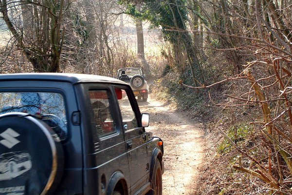 Jeep verzameling.jpg