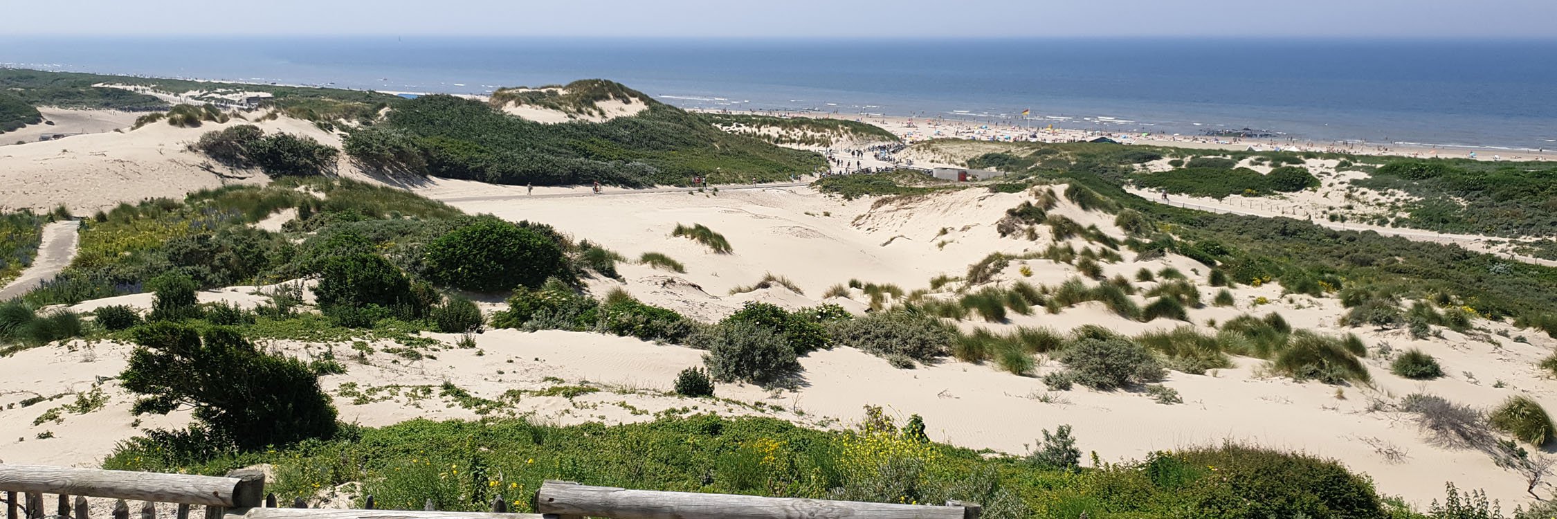 StrandZeeDuin subcat 1.jpg