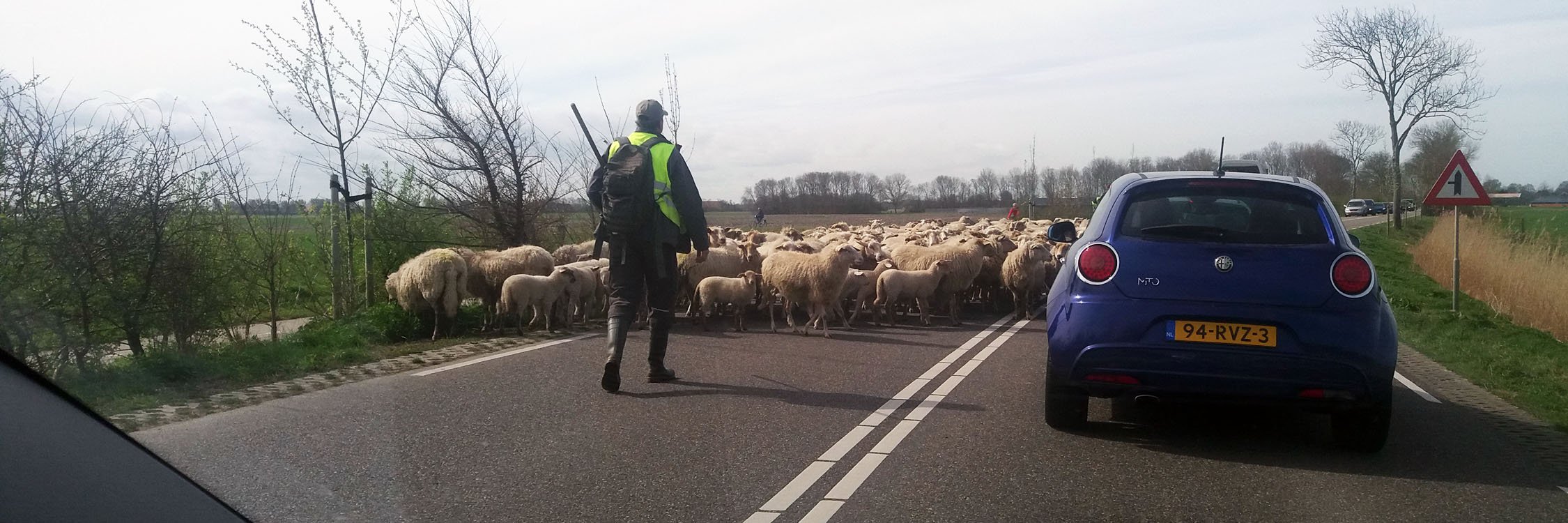 Zeeland algemeen 1.jpg