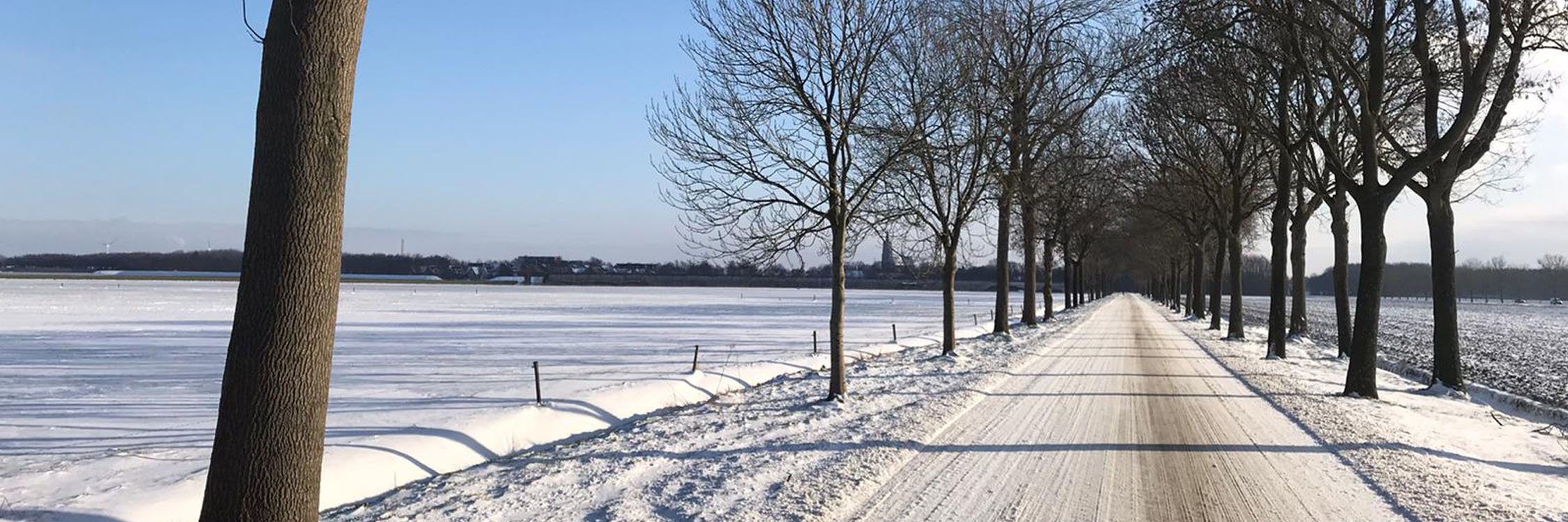 Zeeland regio winter.jpg