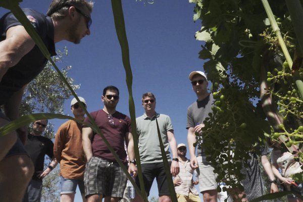 bodegas-tour.jpg